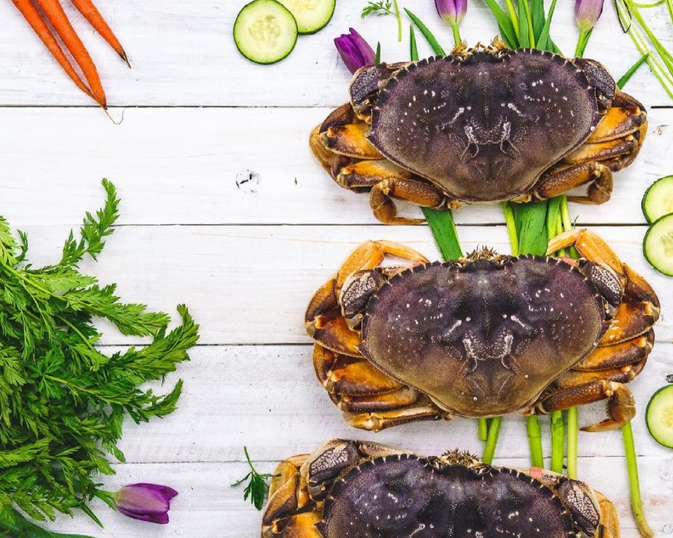 Crab antennae used for smell