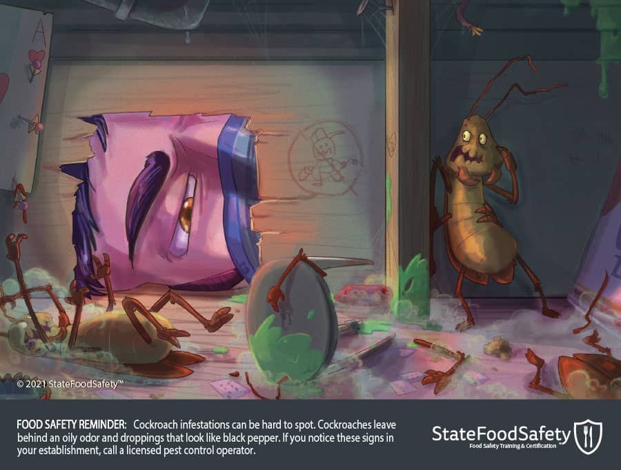 Cockroach Infestation