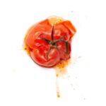 dumped moldy food