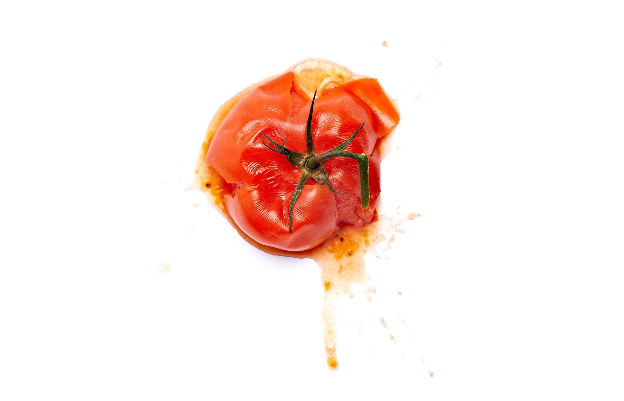 dumped moldy food