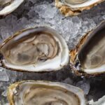 Fresh raw oysters on ice with lemon wedges