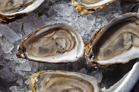 Fresh raw oysters on ice with lemon wedges