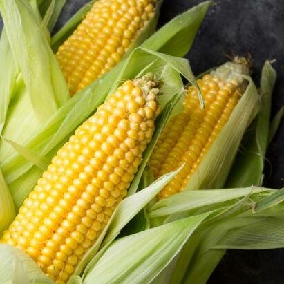 Local sweet corn is prized for its unique flavors and that it is plentiful.
