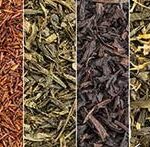 cup of green tea and fresh green tea leaves