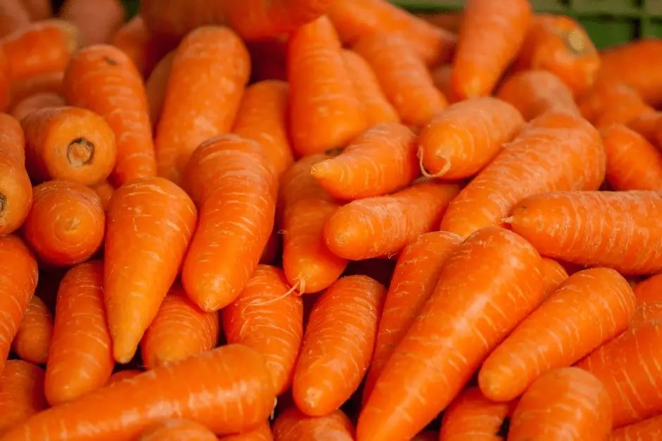 Beta-carotene rich carrots enhancing the eye's adjustment to light, crucial for preventing night blindness