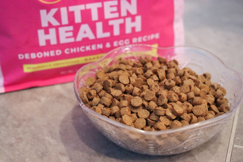 Close-up of Tiki Cat Born Carnivore Deboned Chicken & Egg Recipe kibble in a bowl