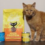 Tiki Cat Food review