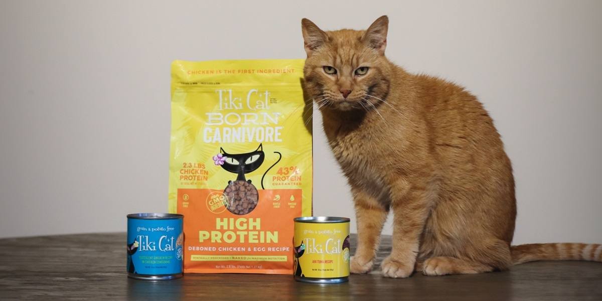 Tiki Cat Food review