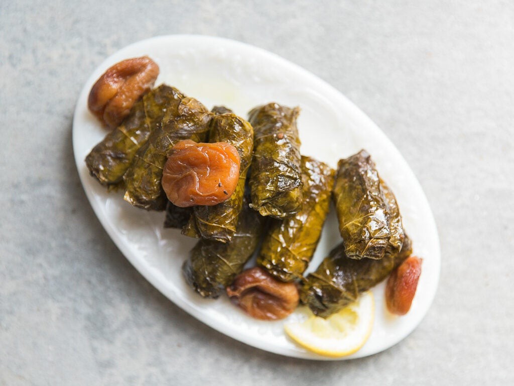 Beef Dolmas with Apricots and Tamarind: Savory grape leaves stuffed with beef, apricots, and tamarind, a sweet and sour delight from the Syrian Jewish kitchen.