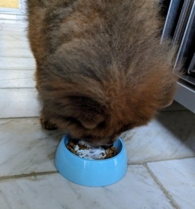 Emperor Han enjoying his meal