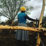 Traditional Farming Practices