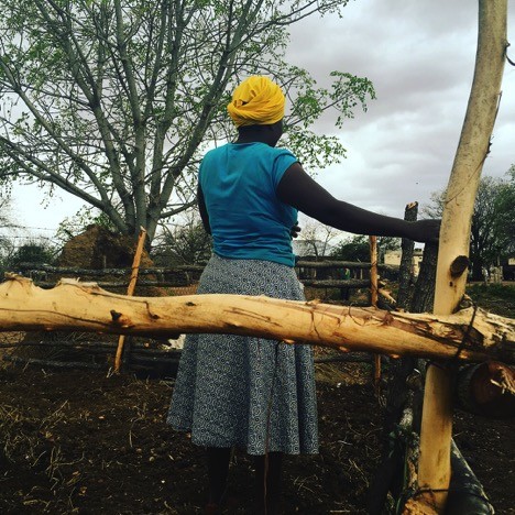 Traditional Farming Practices