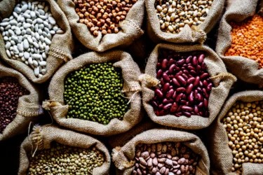 Legumes for Piles Relief