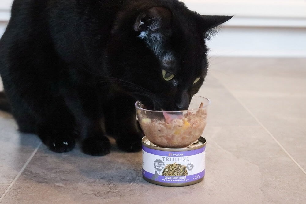 Weruva Truluxe Steak Frites Dinner Cat Food