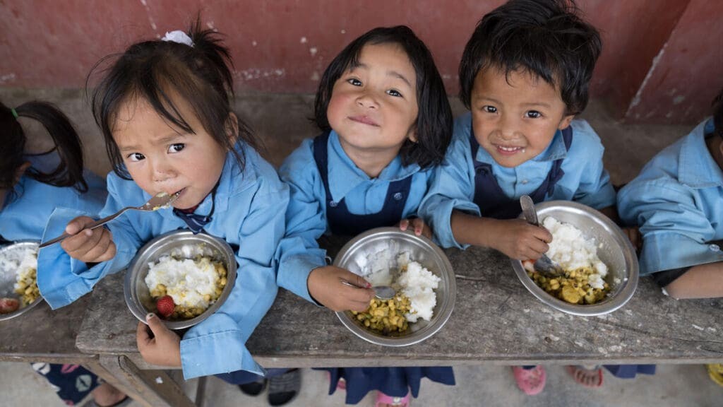 A social safety net program in action, protecting vulnerable populations and mitigating economic shocks.