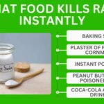Baking Soda for Rat Control