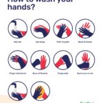 Proper Handwashing Steps