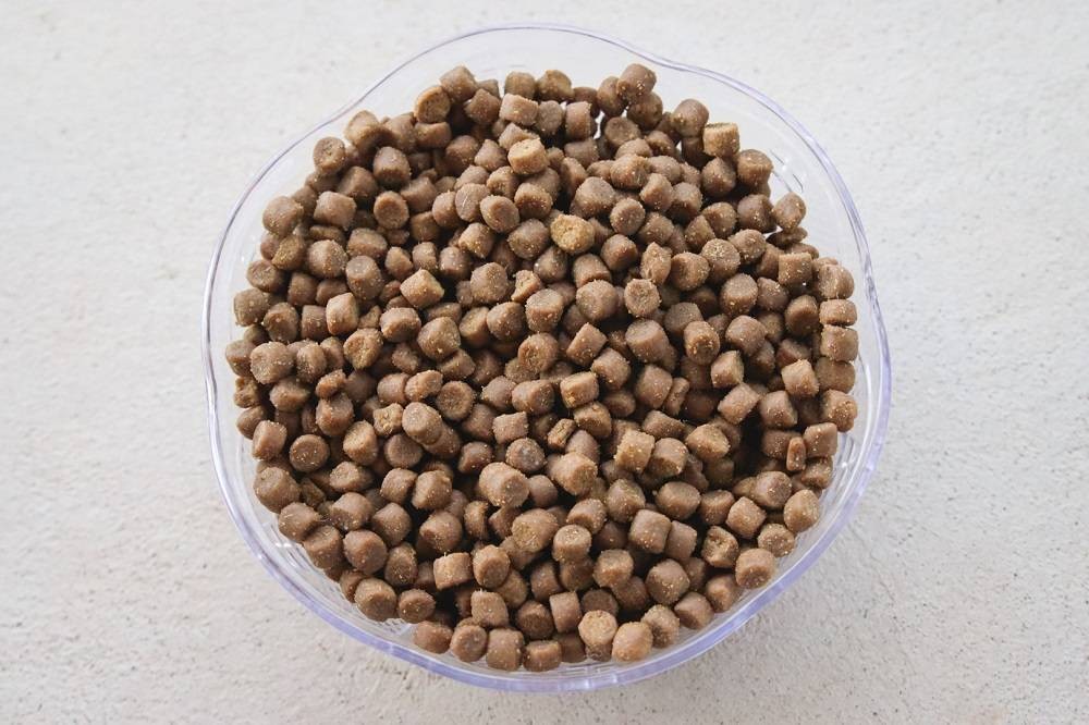 Close-up of Young Again Mature Health Formula kibble