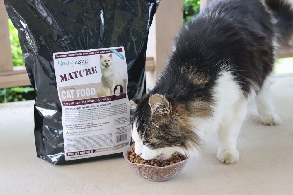 Close-up of Young Again Mature Health Formula kibble being poured into a bowl