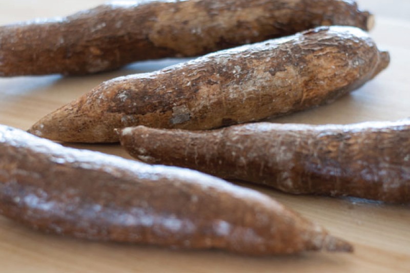 Close-up of freshly harvested yucca roots showing their rough, bark-like skin, essential for understanding their preparation requirements.